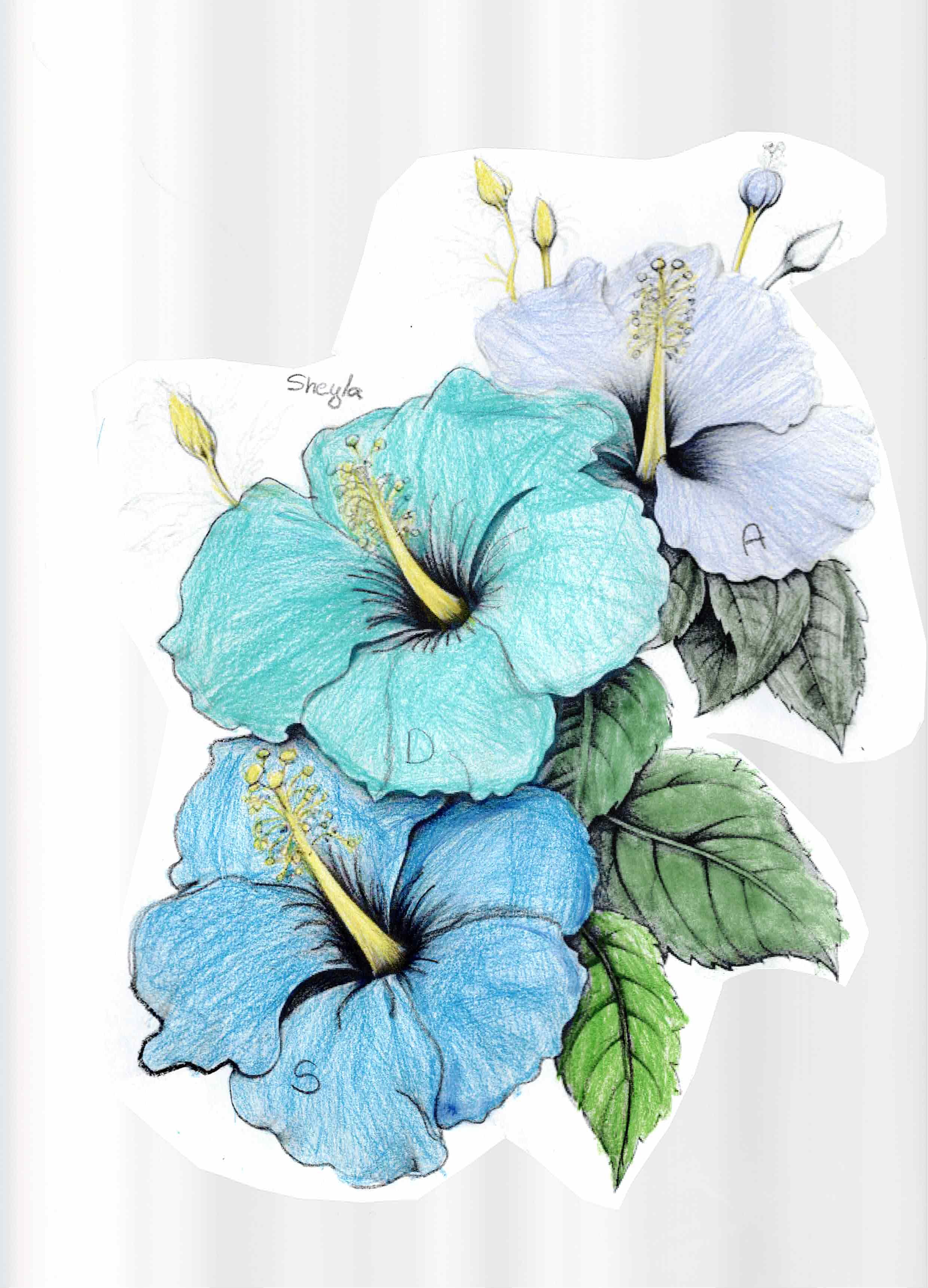 Artwork by Sheyla